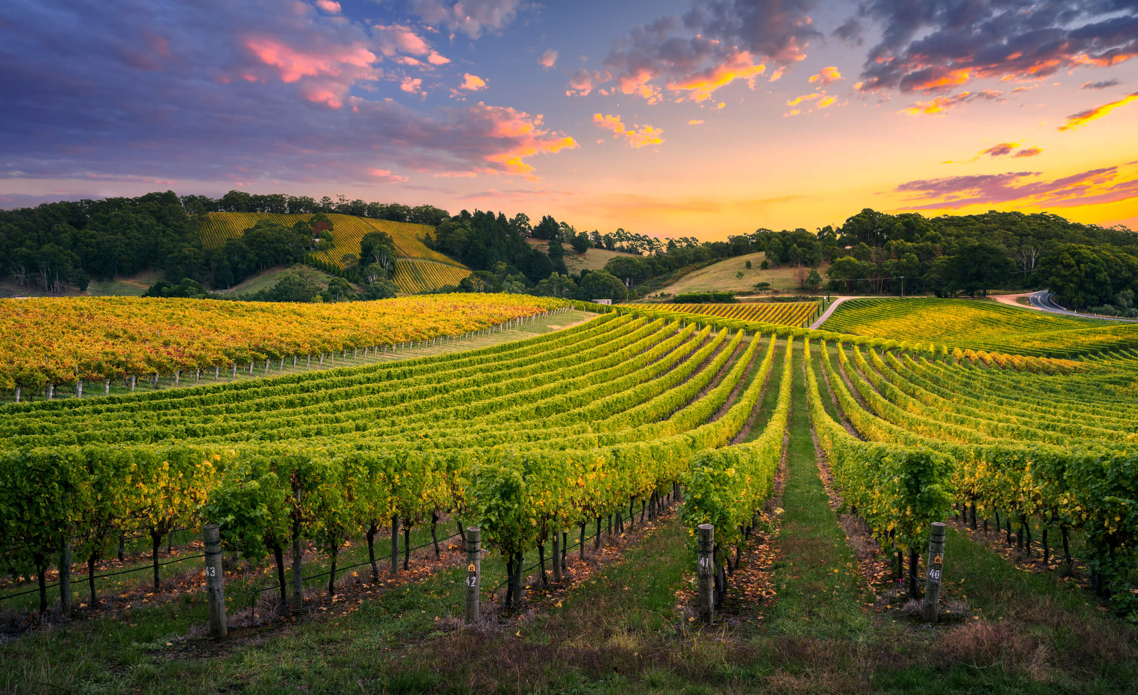 Marchesi Antinori - Case History