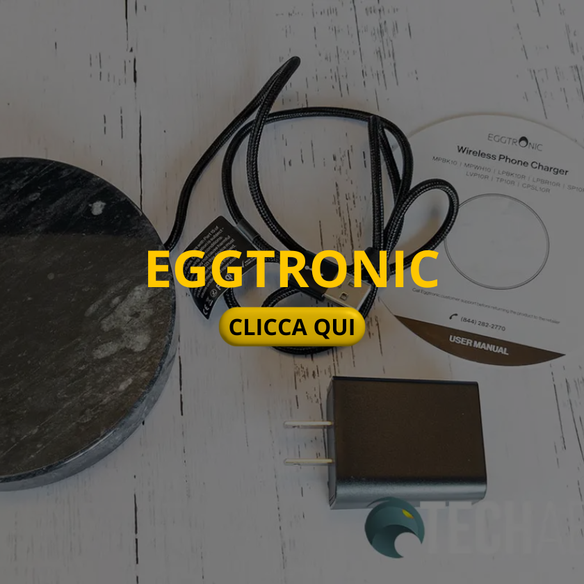 GN TECHONOMY case history EGGTRONIC